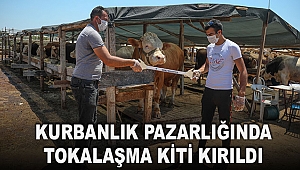 Kurbanlık pazarlığında  tokalaşma kiti kırıldı