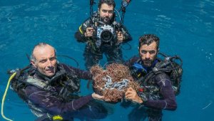 Kurşun ağırlıklar deniz yaşamını tehdit ediyor