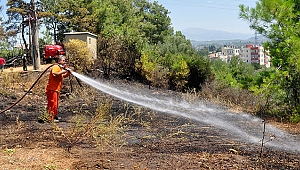 Manavgat'ta 2 trafo yandı