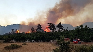 Manavgat'taki orman yangını kontrol altında