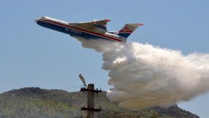 Manavgat'ta orman yangını lar