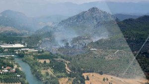 Manavgat'ta orman yangını