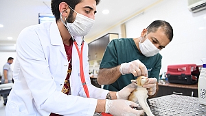 Motor kaputuna sıkışan yavru kedi kurtarıldı