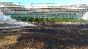 Sera bölgesinde çıkan yangın ucuz atlatıldı