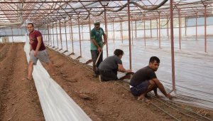 Seralarda solarizasyon dönemi başladı