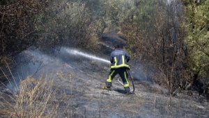 Serik'te zeytin bahçesindeki yangın korkuttu