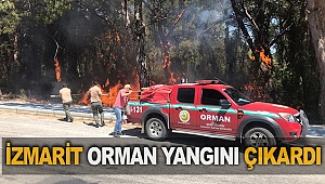 Sigara izmariti orman yangını çıkardı