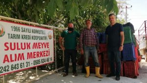 Tarım kredi ilk kez üreticiden vişne aldı