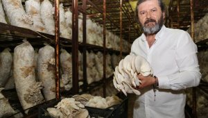 Türkiye'nin mantar merkezi: Korkuteli