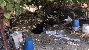 Üzüm bağında ölü bulundu