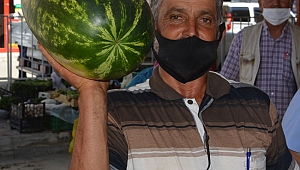 Yayla karpuzu pazarda