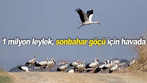 1 milyon leylek, sonbahar göçü için havada