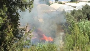 Antalya'da, seralara yakın otluk alanda yangın