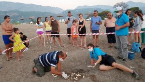 Bayram caretta carettaları