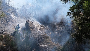 Büyümeden söndürüldü