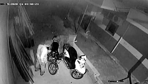 Çalınan papağan ve  motosiklete kavuştu