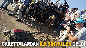 Carettalardan ilk sinyaller geldi