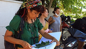 Çevrecilerin ‘Çınar’  eylemi devam ediyor