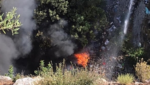 Çöplük alanda yangın
