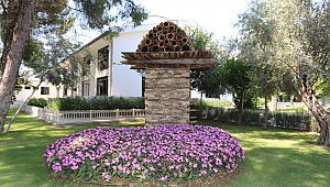 DokumaPark’a 5 bin yıllık arı sereni