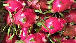 Getirisi iyi, işçiliği az