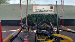 Jandarmadan uyuşturucuyla amansız mücadele