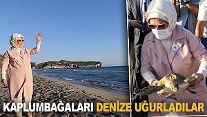 Kaplumbağaları denize uğurladılar