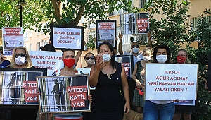 ‘Kedi katilini bulun’ çağrısı