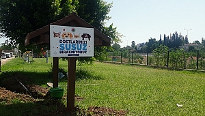 Kepez'den can dostlara ahşap, gölgelikli mama ve su istasyonu