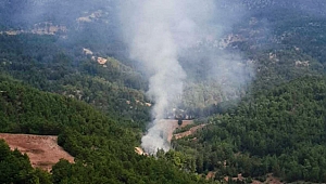 Manavgat’ta orman yangını