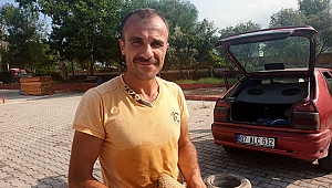 Otomobile giren yılan korkuttu