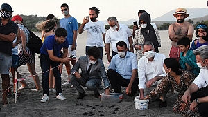 Patara Plajı’nda yavru carettalar denizle buluştu