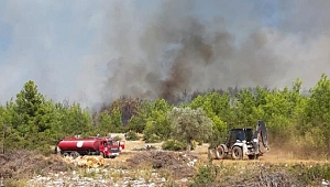 Serik'te orman yangını 