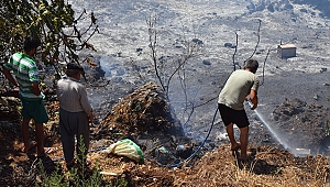 Yangın büyümeden söndürüldü