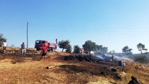 Yangın ormana sıçramadan söndürüldü