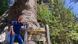 Yıllara meydan okuyor