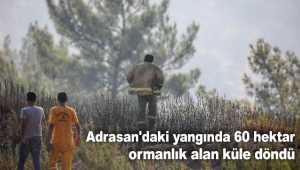 60 hektar ormanlık alan küle döndü