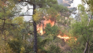 Adrasan'daki yangın kısmen kontrol altında
