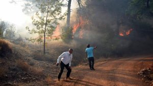 Adrasan'da orman yangını