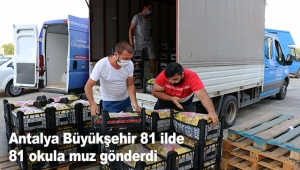 Antalya Büyükşehir 81 ilde 81 okula muz gönderdi