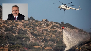 Aydın: Yanan ormanlık  alanlar ağaçlandırılıyor