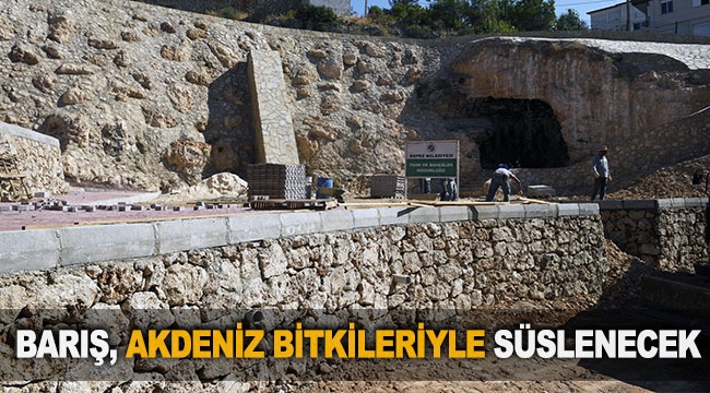 Barış Akdeniz bitkileriyle süslenecek