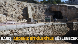 Barış Akdeniz bitkileriyle süslenecek