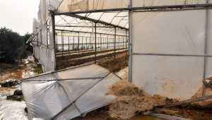 Boru patladı sera ve  bahçeler zarar gördü