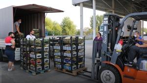 Büyükşehir 81 ilde 81 okula muz gönderdi