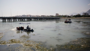 Büyükşehir, Boğaçayı'nı yakından izliyor