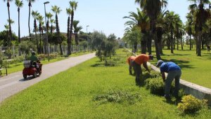 Büyükşehir'den Manavgat'ta yeşil alanlara bakım 