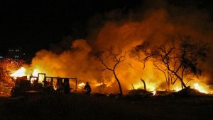 Çalılık alandaki yangın korkuttu