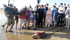 Caretta 'Likya' Libya'ya, 'Patara' Meis'e gitti