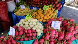 Fiyatları altınla yarışıyor